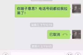 西湖为什么选择专业追讨公司来处理您的债务纠纷？